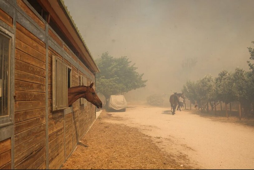 آتش سوزی های جنگلی یونان