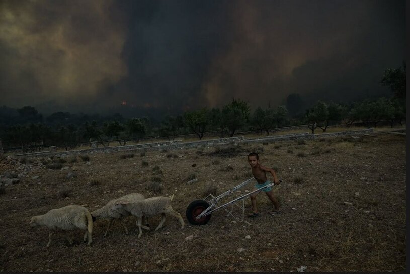 آتش سوزی های جنگلی گسترده در یونان