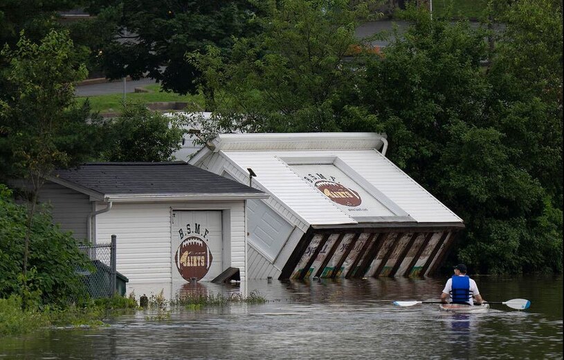 سیل در هالیفاکس کانادا