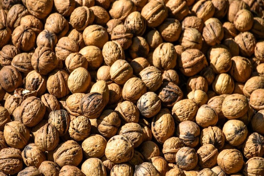 قیمت-گردو