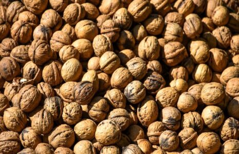 قیمت گردو از مرز نیم میلیون تومان عبور کرد
