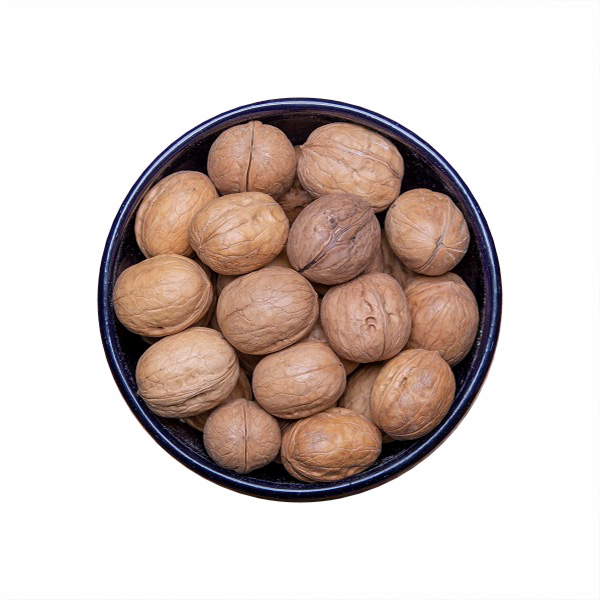 گردو 
