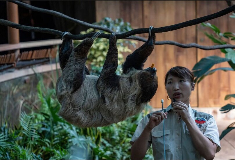 پارک اقیانوسی هنگ کنگ