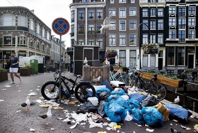 تغذیه پرندگان و مرغان دریایی از زباله ها