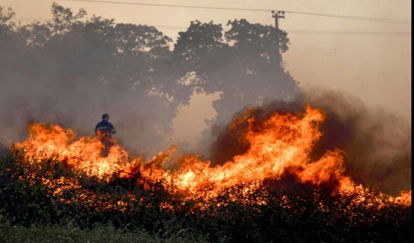 آتش سوزی جنگل ها و مراتع در یونان