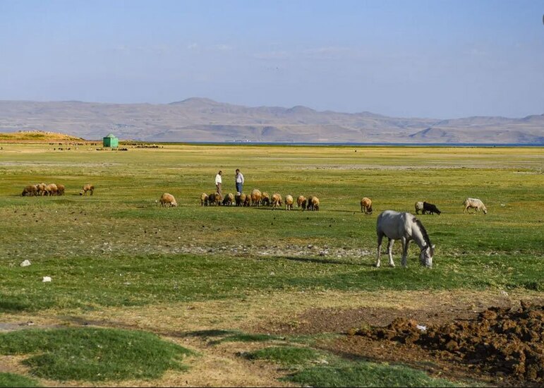 خشک شدن 1.5 درصد از مساحت دریاچه وان ترکیه