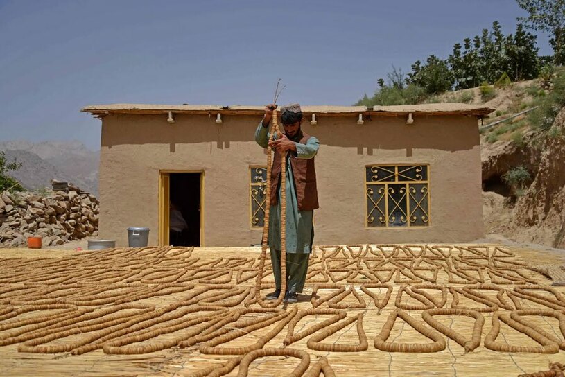 خشک کردن انجیر قندهار افغانستان