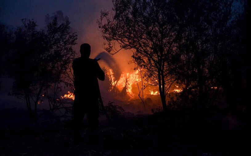 مهار آتش سوزی جنگلی در تونس