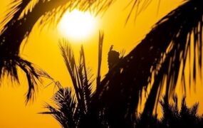 دمای بالای ۵۰ درجه در ۹ شهر خوزستان