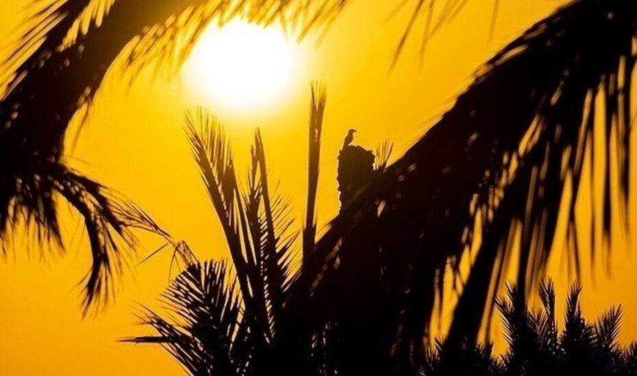 دمای بالای ۵۰ درجه در ۹ شهر خوزستان