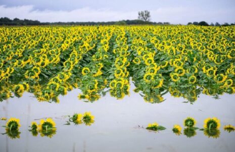 دیدنی های امروز