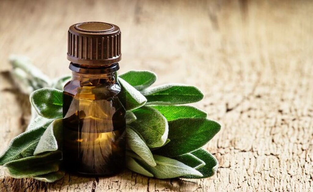 روغن درخت چای