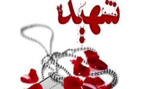 شهادت سرباز در درگیری مسلحانه