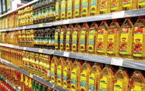 قیمت روغن نباتی