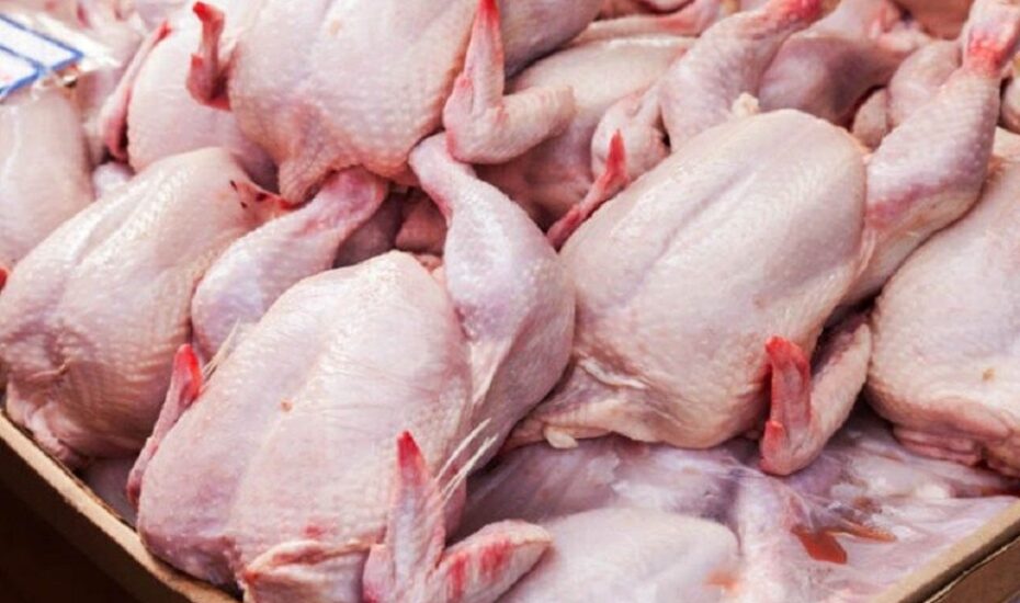 قیمت جدید گوشت مرغ