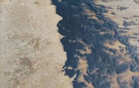 آلودگی نفتی ساحل گناوه