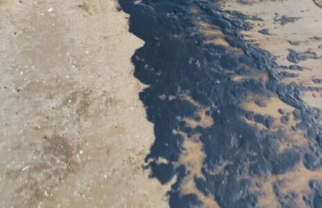 مشاهده آلودگی نفتی در ساحل گناوه