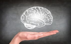 معرفی ۵ خوراکی مضر برای سلامت مغز