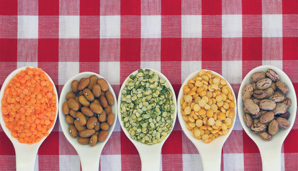 Selection of pulses in spoons on checkered tablecloth