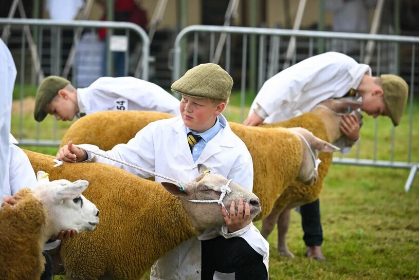 نمایشگاه سالانه احشام در دورچستر انگلیس
