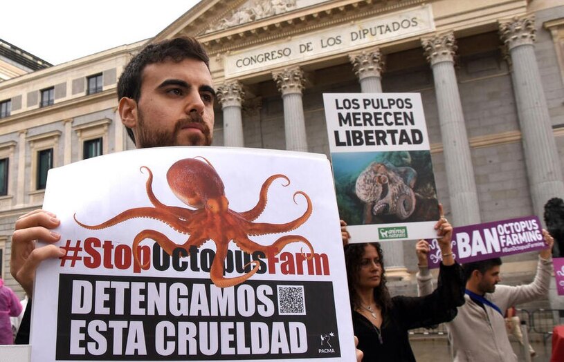 تظاهرات گروه های مدافع حقوق حیوانات مادرید