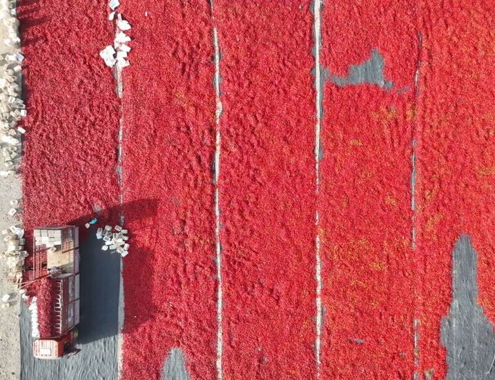 خشک کردن فلفل قرمز در چین