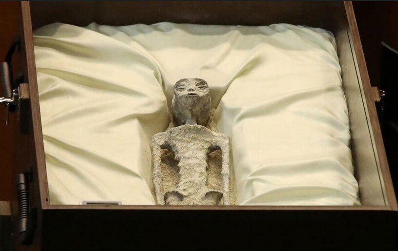 دیدنی های امروز؛ از فاجعه سیل لیبی تا مسابقات جهانی انتخاب سگ گله نمایش فسیل های ادعا شده موجوادت فرازمینی