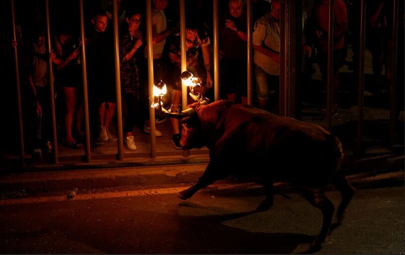 جشنواره ای سنتی در والنسیا اسپانیا