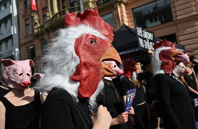 تجمع فعالان حقوق حیوانات در شهر پراگ