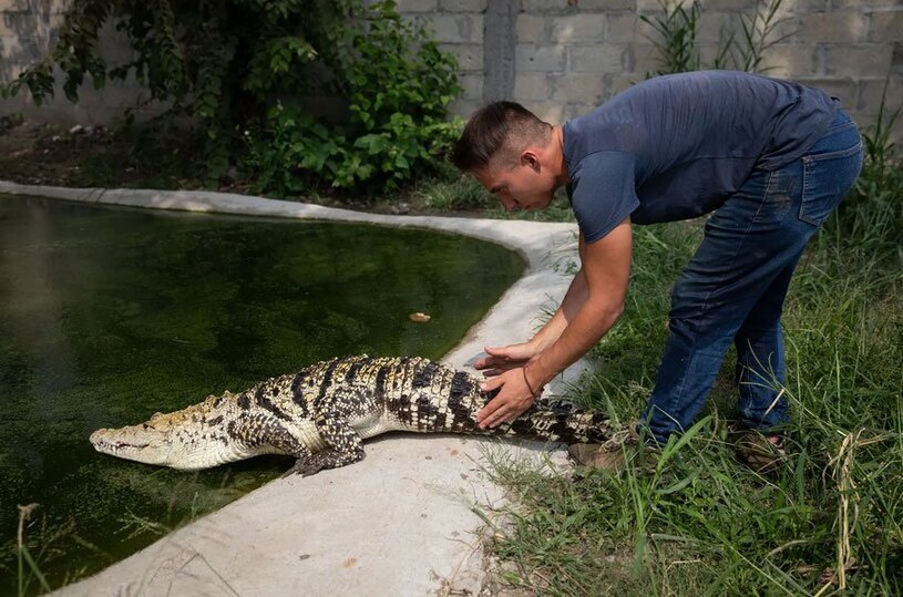 دیدنی های امروز؛ از نشست سالانه سازمان ملل تا جشنواره سالانه هندوها گونه های مختلف تمساح