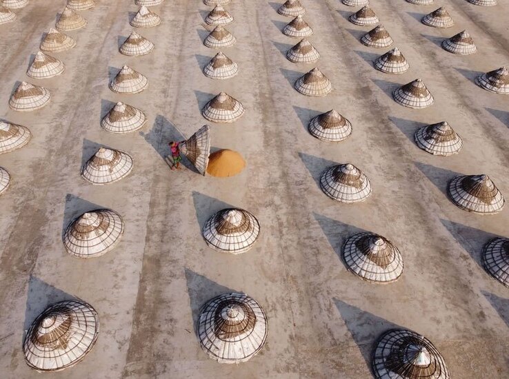 دیدنی های امروز؛ از صف خرید آیفون 15 تا پناهجویان عازم آمریکا کارگری در بنگلادش تپههای برنج های تازه جمع آوری شده را با مخروطهای کلاهشکل از چوب بامبو میپوشاند