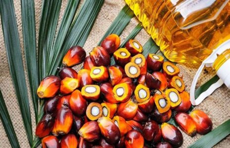 آزمایش پالم روغن های سرخ کردنی