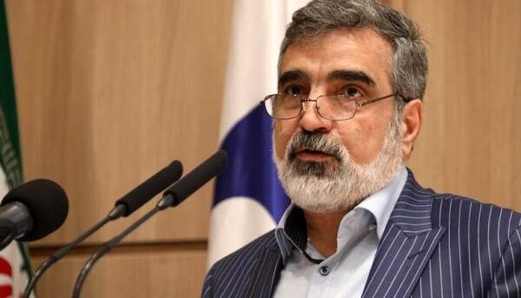 سخنگوی سازمان انرژی اتمی