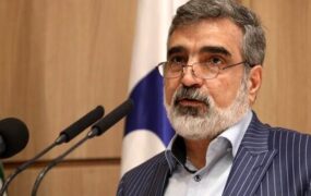 سخنگوی سازمان انرژی اتمی