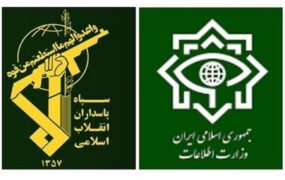 شبکۀ سازماندهی اغتشاشات