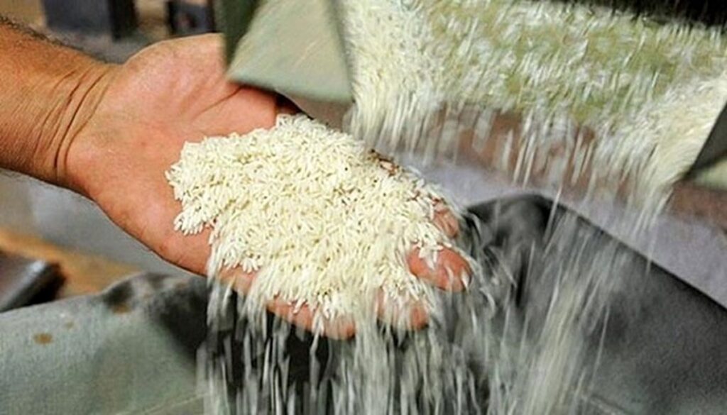 قیمت برنج