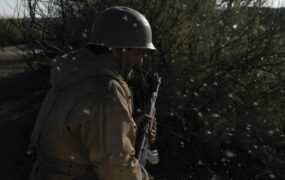 پخش اینترنتی نوشابه مشکی