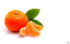 سکته پاییز نارنگی