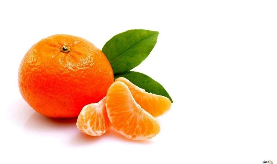 سکته پاییز نارنگی