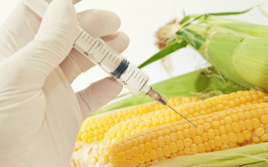 تمدید ممنوعیت کشت محصولات تراریخته