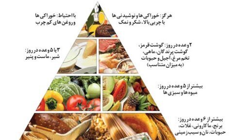 هرم تغذیه ورزشکار