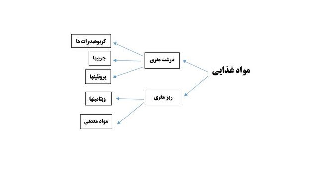 میزان مصرف کربوهیدرات بر اساس شدت ورزش/ جدول هرم تغذیه ورزشکار