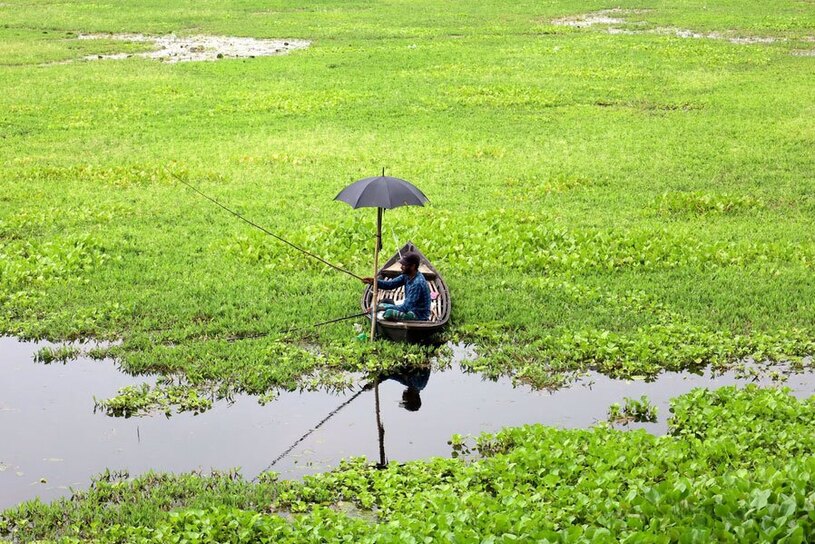 دیدنی های امروز؛ از دلفین های تلف شده برزیل تا کنفرانس سالانه حزب محافظه کار انگلیس ماهیگیری در باتلاقی در بنگلادش