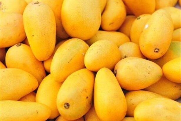 انبه