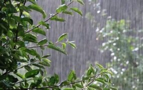 رگبار پراکنده کشور