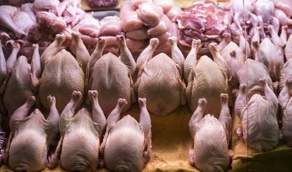 عرضه مرغ با نرخ مصوب در بازار