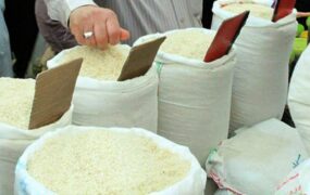 قیمت برنج ایرانی