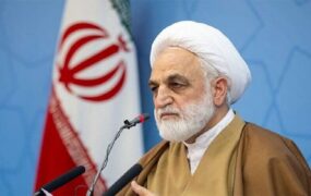 محسنی اژه‌ای بازار خودرو