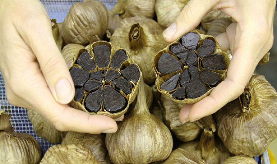 سیر سیاه لاغری