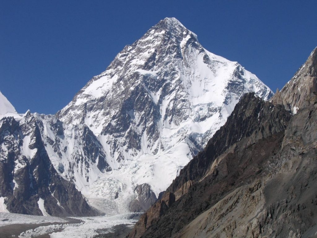 کرکس ایران